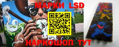 крисы Волгодонск