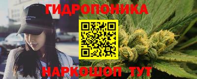 крисы Волгодонск